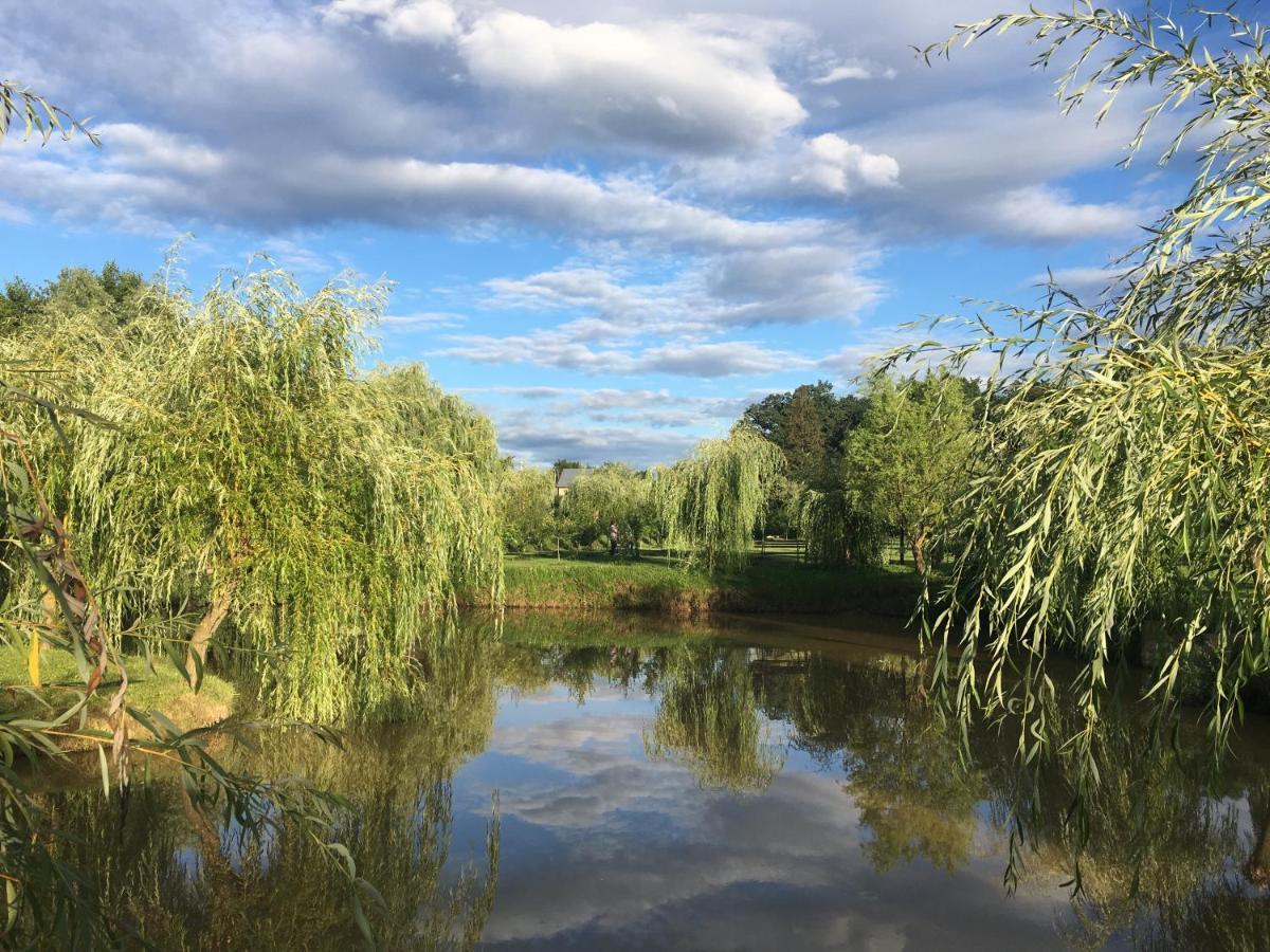 Pensiunea Paradisul Verde Oglinzi Екстер'єр фото