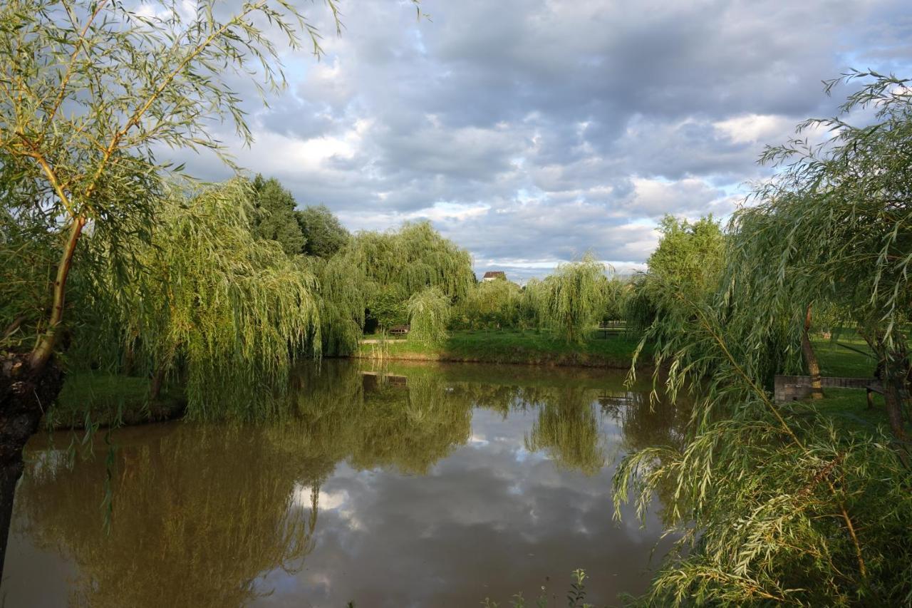 Pensiunea Paradisul Verde Oglinzi Екстер'єр фото