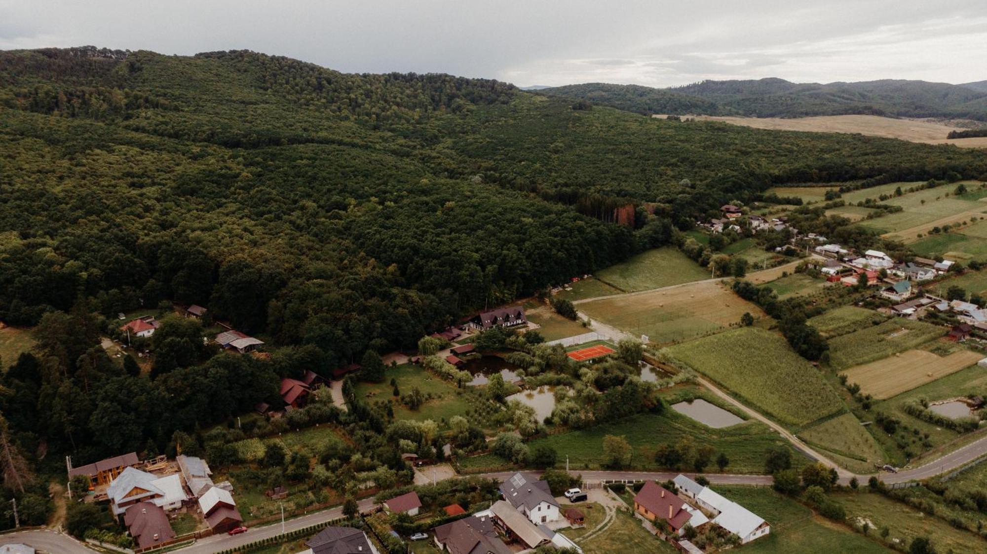 Pensiunea Paradisul Verde Oglinzi Екстер'єр фото