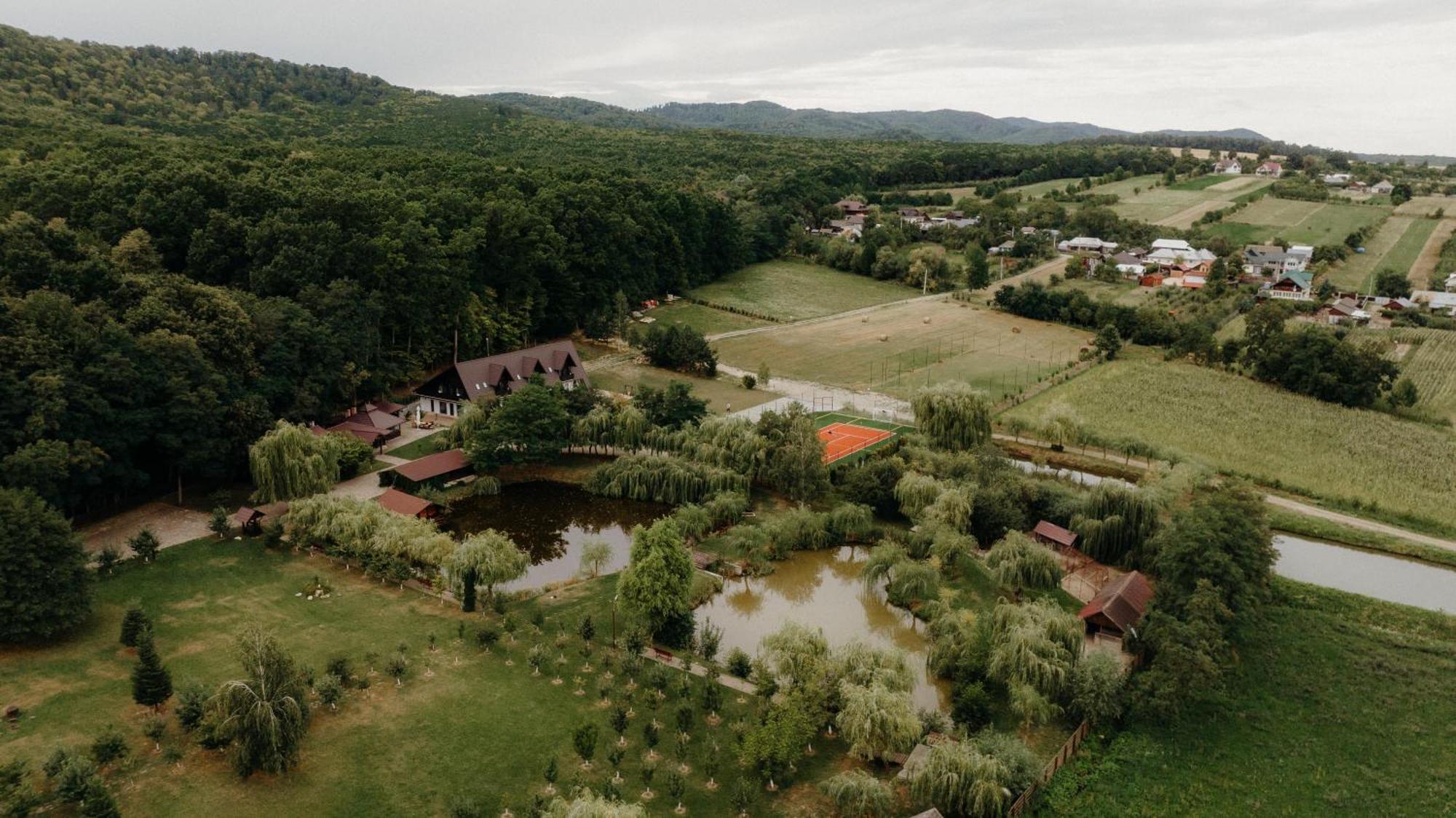 Pensiunea Paradisul Verde Oglinzi Екстер'єр фото