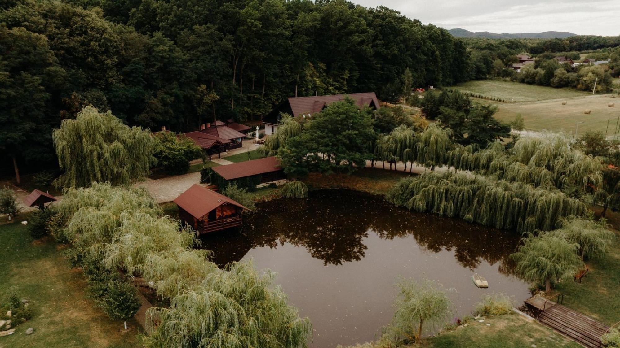 Pensiunea Paradisul Verde Oglinzi Екстер'єр фото