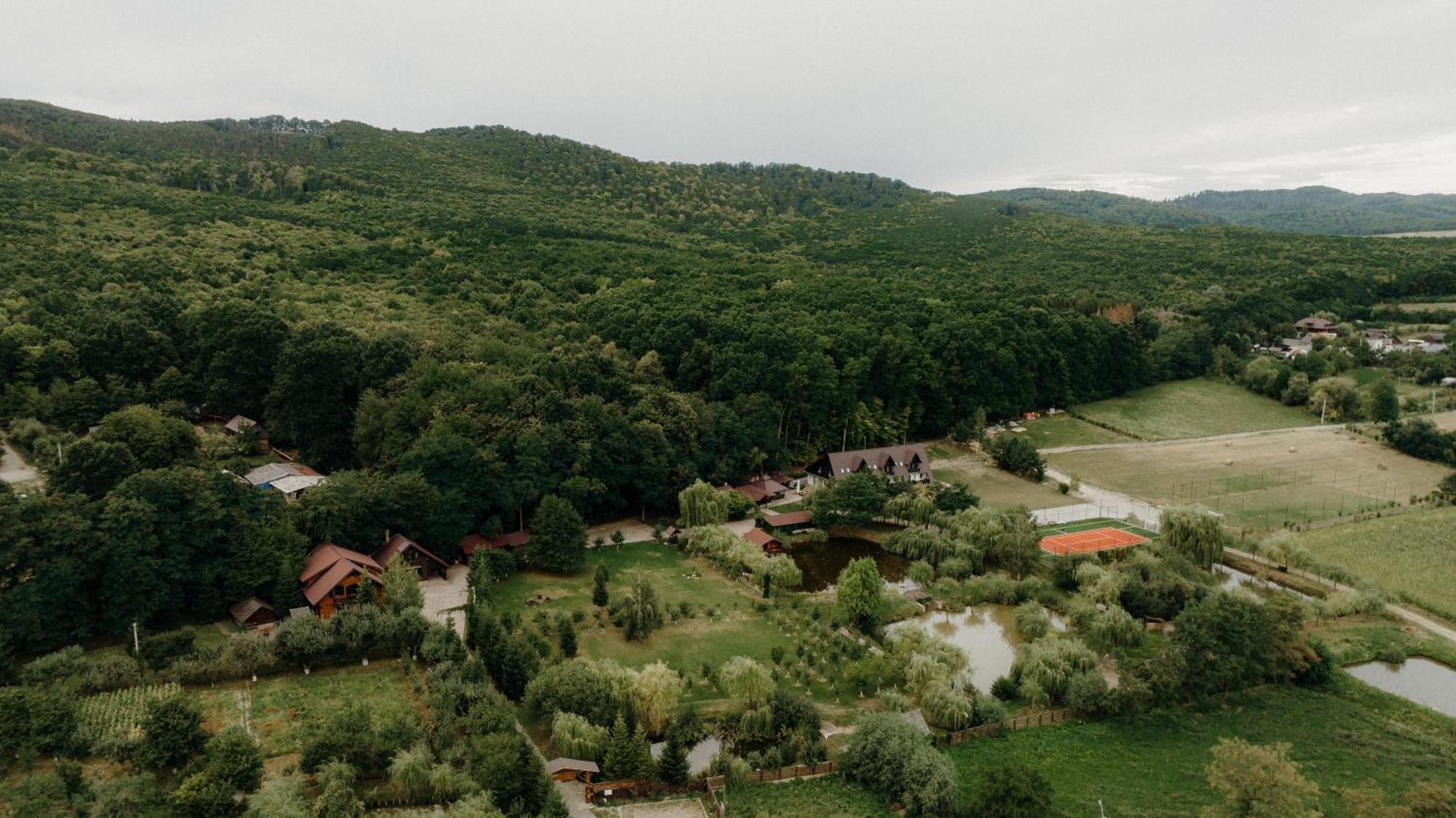 Pensiunea Paradisul Verde Oglinzi Екстер'єр фото