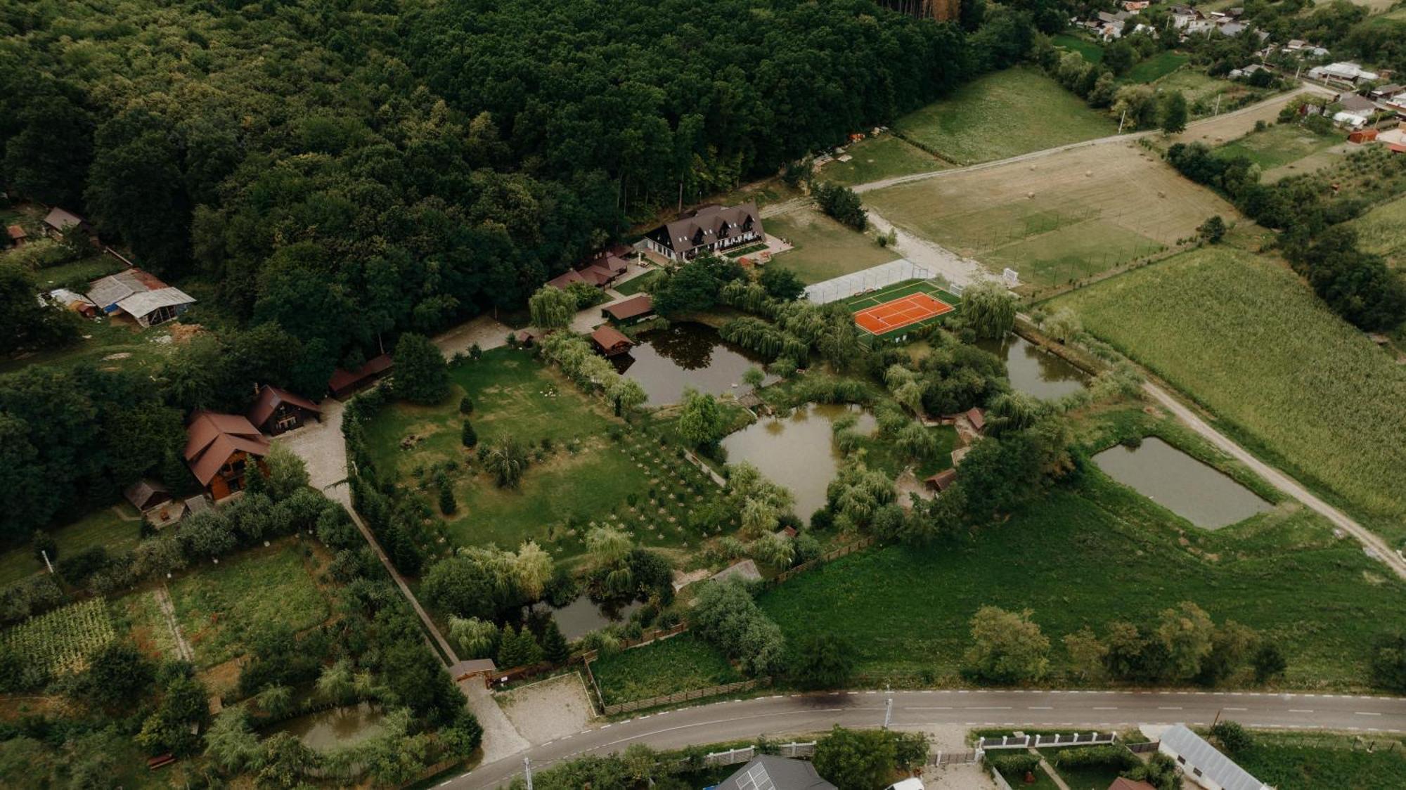 Pensiunea Paradisul Verde Oglinzi Екстер'єр фото